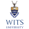 WITS logo