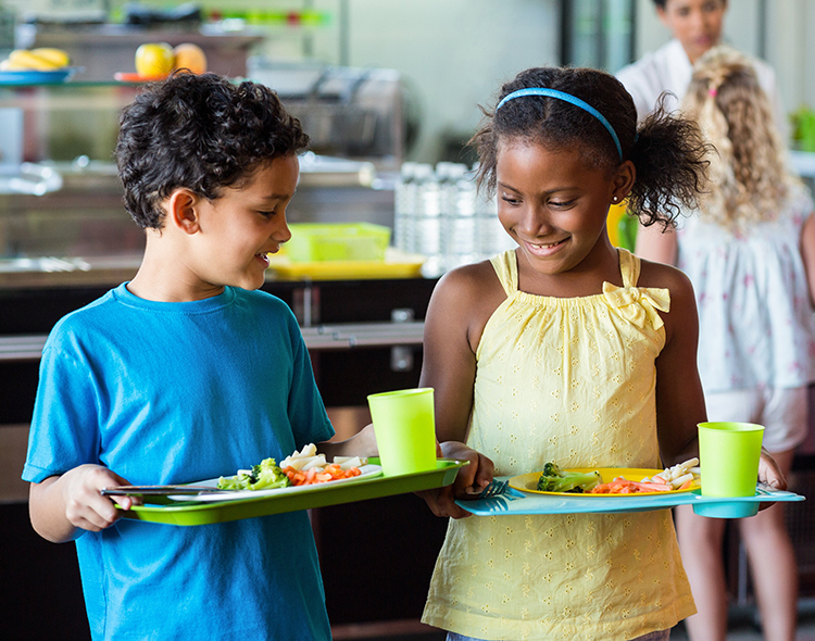 School Food Environment