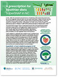 SuperSNAP policy brief PDF thumbnail
